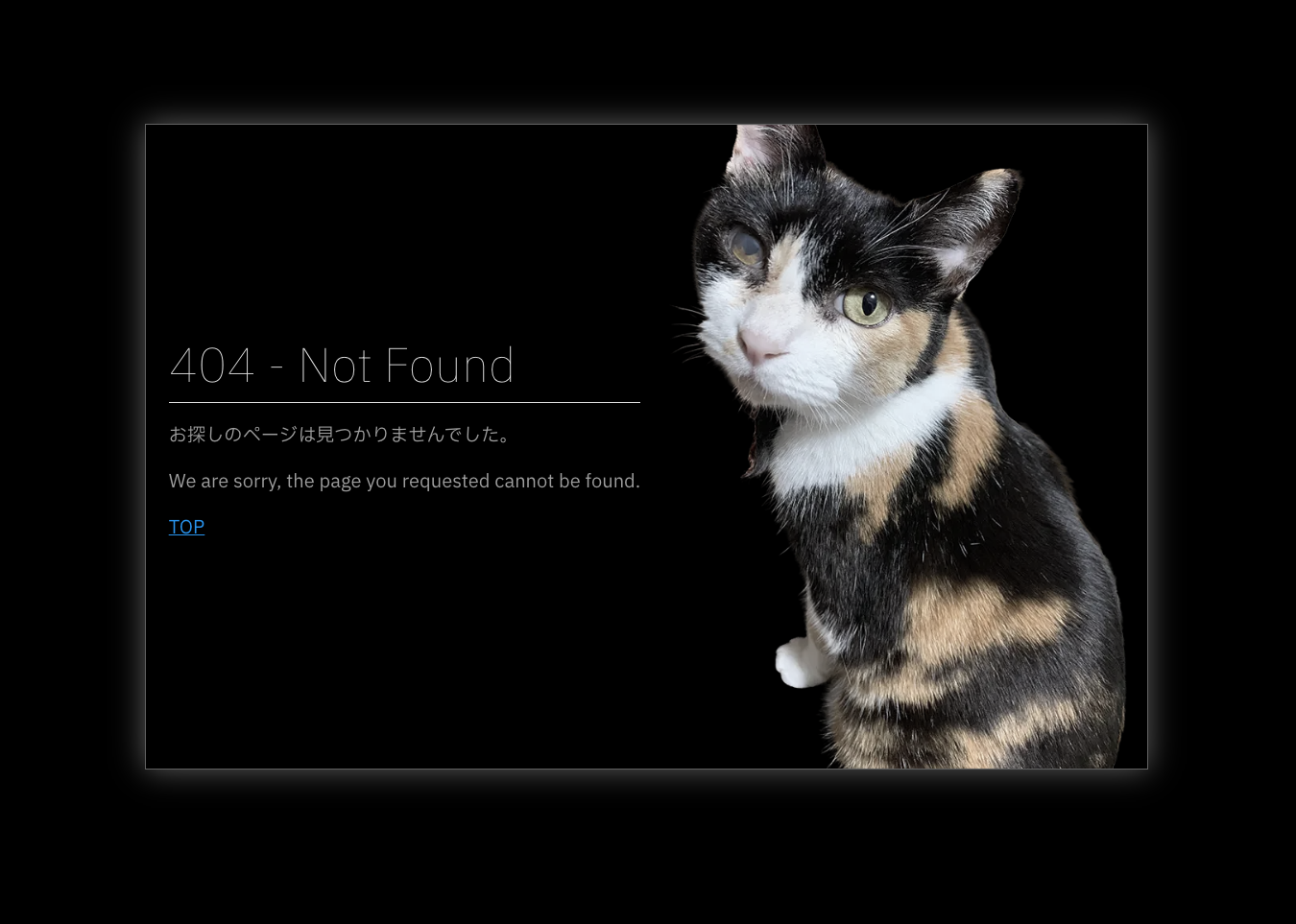 custom 404