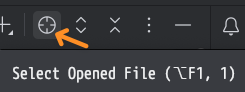 Select Opened File